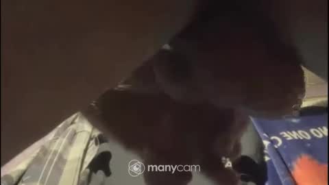 Snapshot of johnnyshung1 chatting on February 2, 2025, 1:08 pm johnnyshung1 online show from February 2, 2025, 1:08 pm