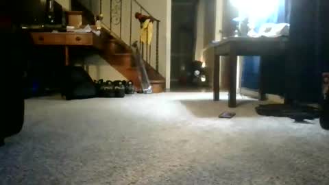 Snapshot of johnynasty8 chatting on June 7, 2026, 4:27 am Johnynasty87 online show from June 7, 2026, 4:27 am