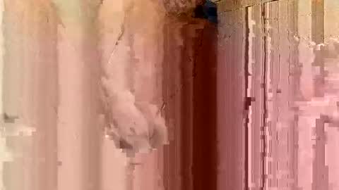 Snapshot of jonathanrossmyers858 chatting on January 21, 2025, 3:48 am jonathanrossmyers858 online show from January 21, 2025, 3:48 am