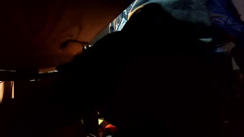 Snapshot of jontn_swift chatting on December 3, 2024, 5:53 am Jonathon Swift online show from December 3, 2024, 5:53 am