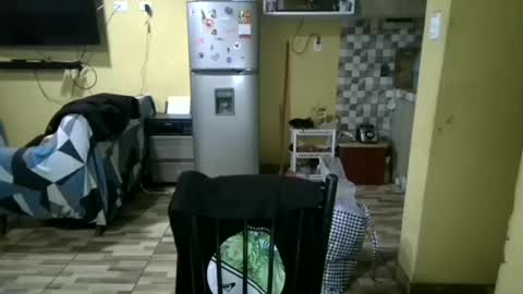 jordan281995 online show from October 26, 2025, 5:35 am