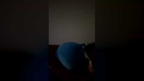 joshua_b11 online show from March 28, 2026, 6:46 am