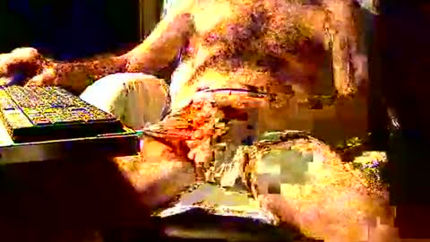 joystik4u60 online show from November 2, 2025, 1:35 pm