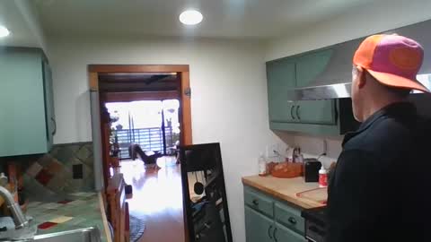 jroge21 online show from January 26, 2025, 7:41 pm