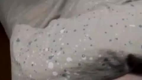 Asian office boy online show from January 6, 2025, 2:36 pm