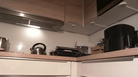 Snapshot of junction1000 chatting on December 28, 2024, 9:20 am Gregor online show from December 28, 2024, 9:20 am