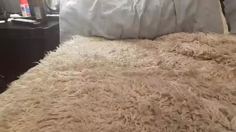 Jusme6269 online show from January 8, 2025, 1:00 am