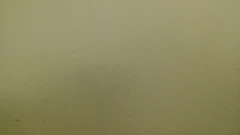 Just marlon online show from January 17, 2025, 2:39 am