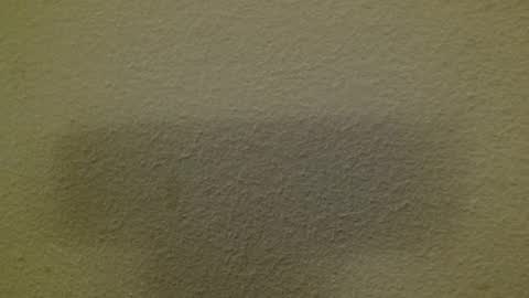 Just marlon online show from March 8, 2025, 3:17 am