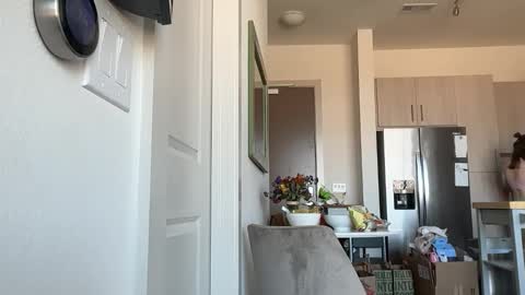 Stella online show from February 12, 2026, 9:43 pm