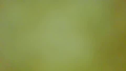 McKeefer online show from September 13, 2025, 5:46 pm