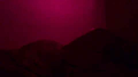 Call me Just online show from December 26, 2024, 12:38 pm