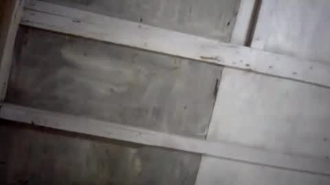 Snapshot of kakaroto30102 chatting on February 17, 2025, 8:09 am kakaroto30102 online show from February 17, 2025, 8:09 am