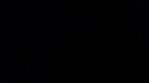 ARIANNA  online show from January 31, 2025, 8:11 am