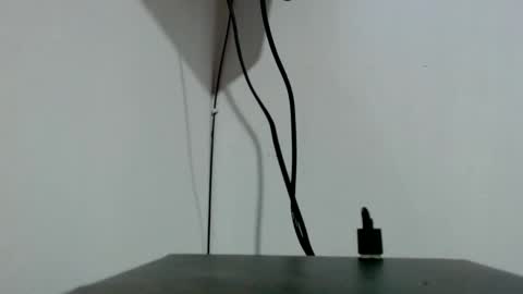 Tamires e Maicon online show from November 3, 2025, 2:02 am