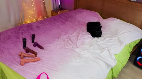 Snapshot of kate_sexhouse chatting on December 5, 2024, 12:22 pm Kate Sex-House MILA WAYGMT2 MonTue 0300am-1500am online show from December 5, 2024, 12:22 pm