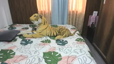 Snapshot of katerinamilf_ chatting on June 13, 2026, 12:36 pm kata online show from June 13, 2026, 12:36 pm