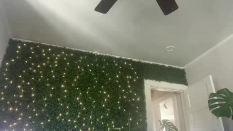 Kate online show from December 30, 2024, 4:40 pm