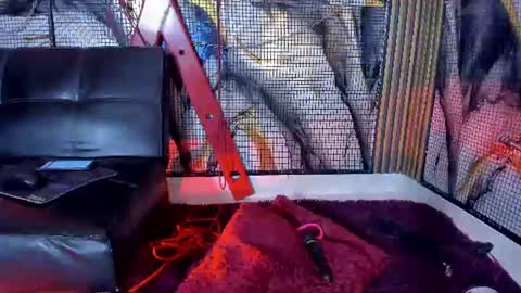 Snapshot of katizaldana chatting on June 18, 2026, 8:25 am kati online show from June 18, 2026, 8:25 am