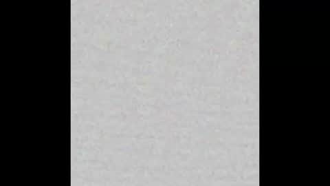 katt_brish online show from November 4, 2025, 11:20 am