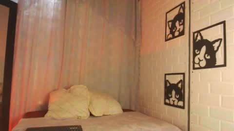 kattia online show from February 18, 2025, 9:31 pm