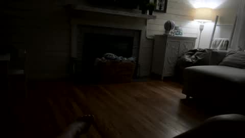 Kay9 online show from April 15, 2026, 9:49 am