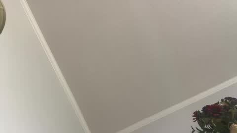 Snapshot of kcdad0001 chatting on February 3, 2025, 3:59 pm kcdad0001 online show from February 3, 2025, 3:59 pm