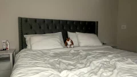 Snapshot of kekeoutlaw chatting on February 13, 2026, 2:57 pm Kekeoutlaw online show from February 13, 2026, 2:57 pm