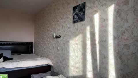 Sylvia online show from November 8, 2025, 8:14 am