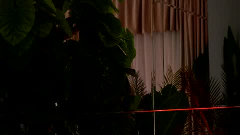 Denise online show from April 6, 2026, 2:20 am