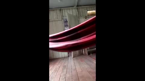 kelpejonh online show from March 17, 2026, 5:05 pm