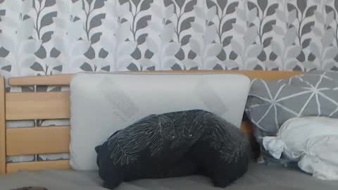 kelywild20 online show from July 25, 2026, 7:06 am