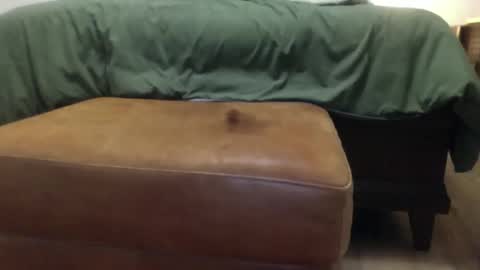 Steve online show from March 23, 2026, 12:53 pm