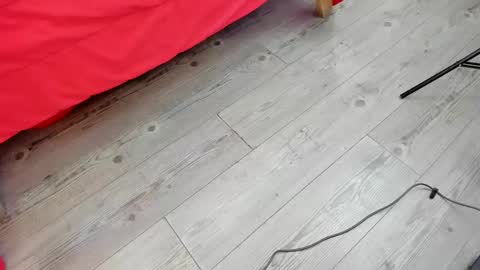 Kendra London online show from February 11, 2026, 11:15 am