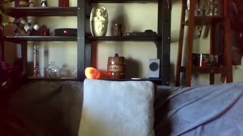 Snapshot of kenkuddles chatting on January 17, 2025, 10:12 pm Ken Kuddles online show from January 17, 2025, 10:12 pm