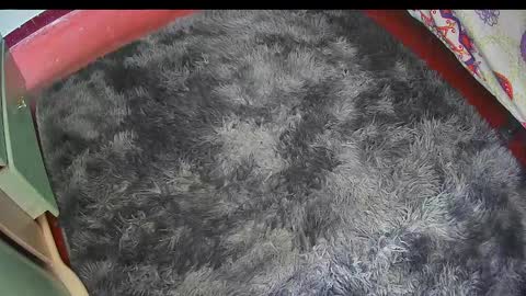 Snapshot of keylasmmith chatting on February 25, 2026, 6:17 pm Keyla online show from February 25, 2026, 6:17 pm