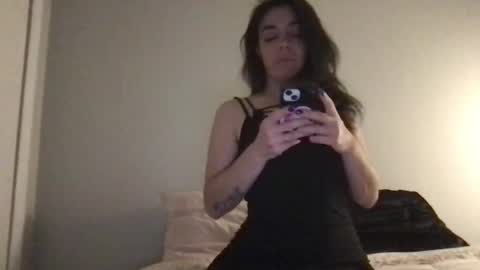 kiki z moonlight attorney at law online show from December 20, 2024, 12:52 am