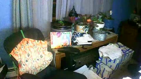 Janky online show from October 26, 2025, 9:59 am