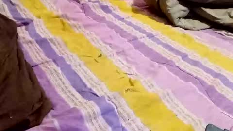 kingbat30 online show from March 2, 2025, 12:42 am