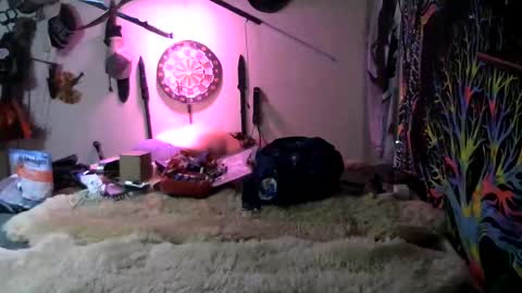 Jerry online show from March 7, 2026, 1:24 am