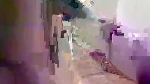 kingdingalingthe online show from October 15, 2025, 3:50 am