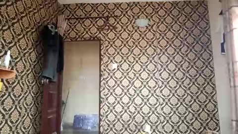 kingemizzy online show from February 3, 2026, 8:08 am