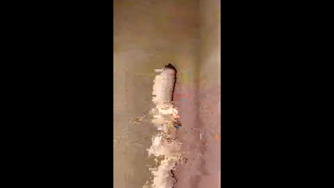 kini8278 online show from February 21, 2026, 1:56 pm