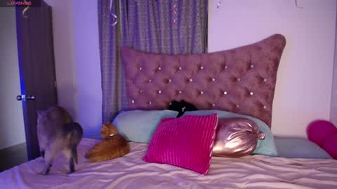  Sara  online show from December 11, 2024, 10:16 pm