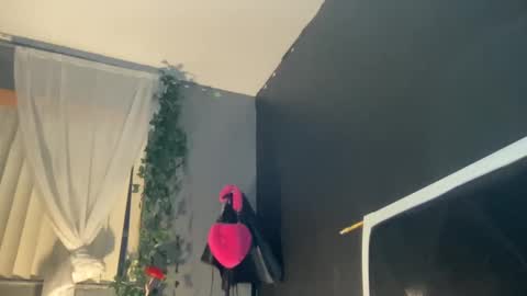 Snapshot of kinkykittee chatting on January 2, 2025, 11:41 am Bunniii online show from January 2, 2025, 11:41 am