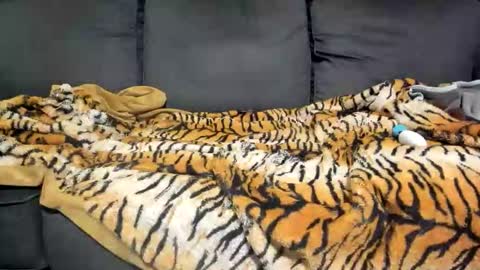 Kinky online show from January 7, 2026, 9:12 am