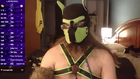 kinkywolf87 online show from September 24, 2025, 6:44 pm