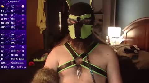 kinkywolf87 online show from November 21, 2025, 12:32 am