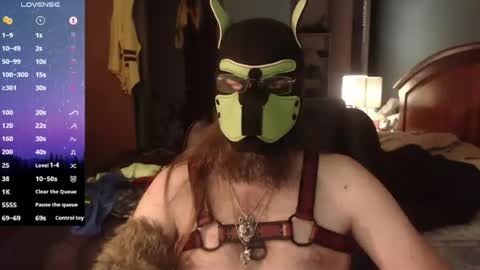 Snapshot of kinkywolf87 chatting on June 11, 2026, 11:58 pm kinkywolf87 online show from June 11, 2026, 11:58 pm