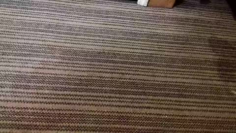 kis4kum online show from April 21, 2026, 10:21 am